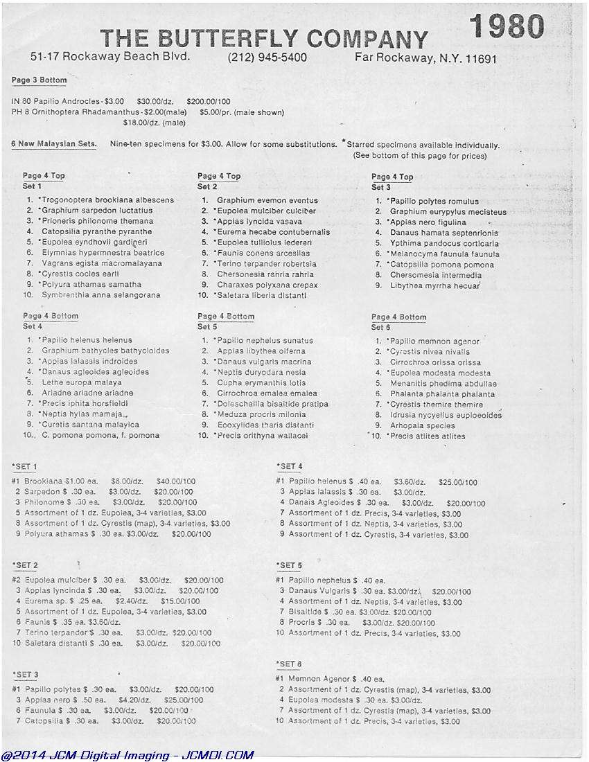 The Butterfly Company (NY) 4 Page catalog (1980-1981)